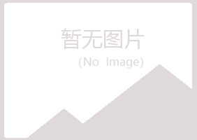 宁明县夜山水泥有限公司